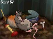 Charlottes Web for NINTENDODS to buy