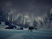 The Long Dark for PS4 to buy