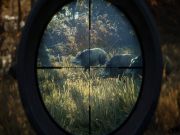 The Hunter Call of The Wild 2019 Edition for PS4 to buy