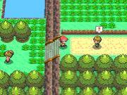 Pokemon Diamond for NINTENDODS to buy