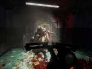Killing Floor Double Feature for PS4 to buy