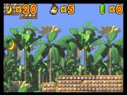 Donkey Kong Jungle Climber for NINTENDODS to buy