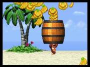Donkey Kong Jungle Climber for NINTENDODS to buy