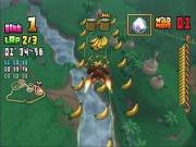 Donkey Kong Jet Race for NINTENDOWII to buy