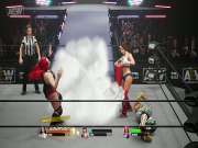 AEW Fight Forever for PS4 to buy