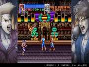 Double Dragon Collection for SWITCH to buy