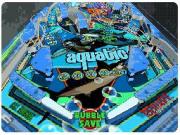 Dream Pinball 3D for NINTENDODS to buy