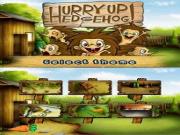 Hurry Up Hedgehog for NINTENDODS to buy