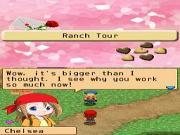 Harvest Moon Island Of Happiness for NINTENDODS to buy