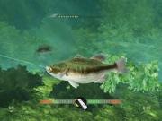 Rapala Fishing Frenzy for NINTENDOWII to buy