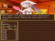Dungeon Maker for NINTENDODS to buy