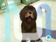 Dogz 2008 for NINTENDOWII to buy