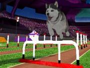 Dogz 2008 for NINTENDOWII to buy