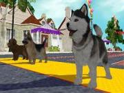 Dogz 2008 for NINTENDOWII to buy