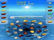 Zenses Ocean for NINTENDODS to buy