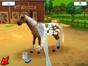 EnerG Horse Riders for NINTENDODS to buy