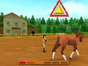 EnerG Horse Riders for NINTENDODS to buy