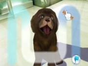 Petz Sports Dog Playground for NINTENDOWII to buy