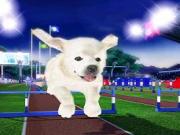 Petz Sports Dog Playground for NINTENDOWII to buy