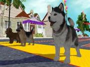 Petz Sports Dog Playground for NINTENDOWII to buy
