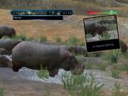 Wild Earth African Safari for NINTENDOWII to buy