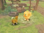 Final Fantasy Fables Chocobos Dungeon for NINTENDOWII to buy