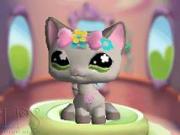 Littlest Pet Shop Jungle for NINTENDODS to buy