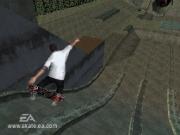 Skate It for NINTENDODS to buy