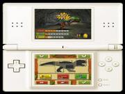Combat Of Giants Dinosaurs for NINTENDODS to buy