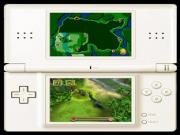 Combat Of Giants Dinosaurs for NINTENDODS to buy