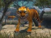Zoo Hospital for NINTENDOWII to buy