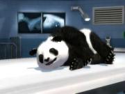 Zoo Hospital for NINTENDOWII to buy