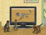 Petz My Monkey Family for NINTENDODS to buy