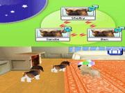 Petz My Puppy Family for NINTENDODS to buy