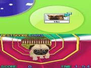Petz My Puppy Family for NINTENDODS to buy