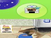 Petz My Puppy Family for NINTENDODS to buy