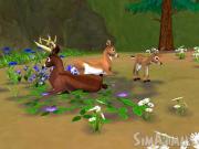 Sim Animals (SimAnimals) for NINTENDOWII to buy