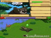 Sim Animals (SimAnimals) for NINTENDODS to buy