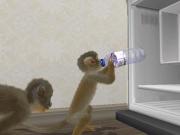Petz Monkey Madness for NINTENDOWII to buy