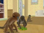 Petz Monkey Madness for NINTENDOWII to buy
