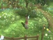 Rune Factory Frontier for NINTENDOWII to buy