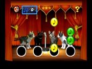 Purr Pals for NINTENDOWII to buy