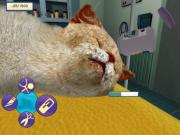 Pet Pals Animal Doctor for NINTENDOWII to buy
