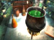 Harry Potter And The Half Blood Prince for NINTENDOWII to buy