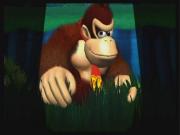 Donkey Kong Jungle Beat for NINTENDOWII to buy