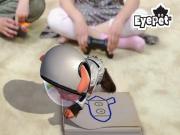 EyePet (Game Only) for PS3 to buy
