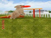 Petz Dog Superstar for NINTENDODS to buy