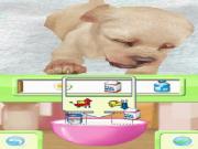 Petz Nursery for NINTENDODS to buy