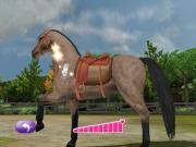 Pony Friends 2 for NINTENDOWII to buy
