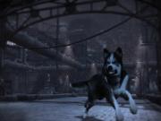 Dead To Rights Retribution for XBOX360 to buy